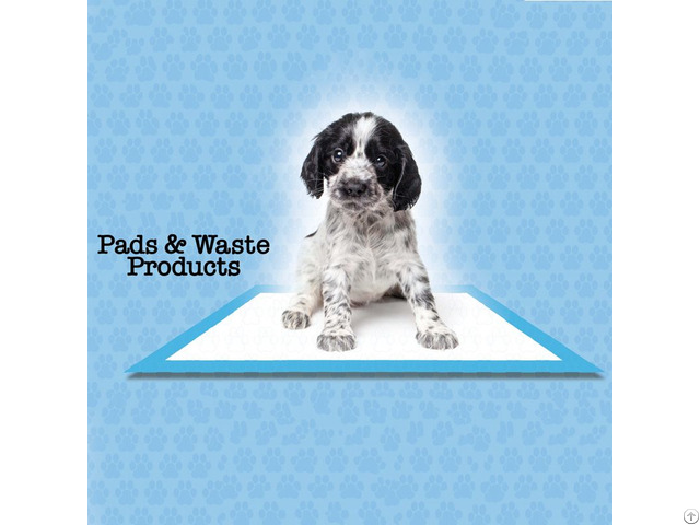 Pee Pads For Dogs Pet Training