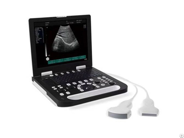 Ultrasound Scanner Labtop Type