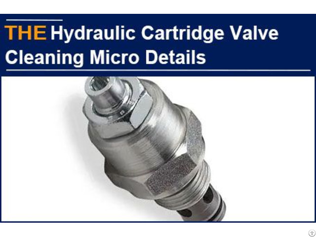 Hydraulic Cartridge Valve Cleaning Micro Details