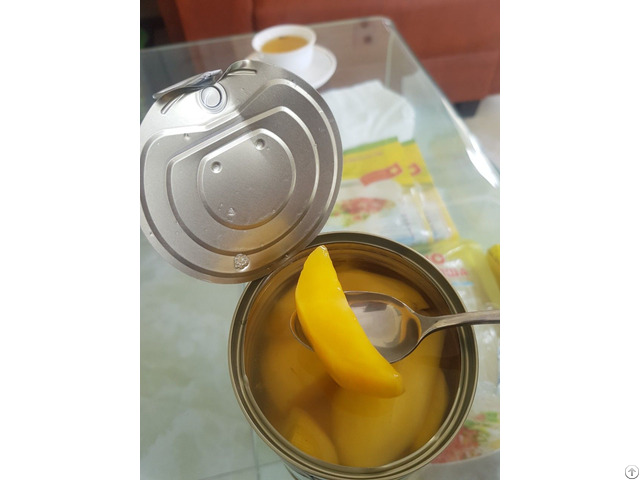 Best Offer Competitive Price Canned Mango From Vietnam