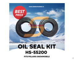 Oil Seal Kit Hs 55200