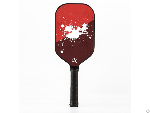 Pickleball Paddle With Long Handle