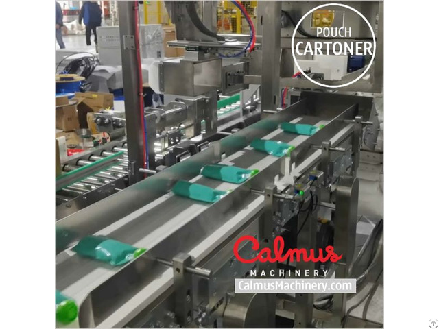 Case Packer Machine Pouch Packaging Line For Doybags