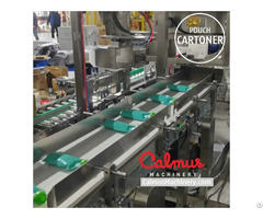 Case Packer Machine Pouch Packaging Line For Doybags