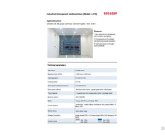 Industrial Transparent Sectional Door L310