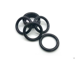 Customized High Performance Heat Resistant 300 Degree Ffkm O Rings