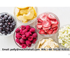 Bulk Freeze Dried Fruits Wholesale Price
