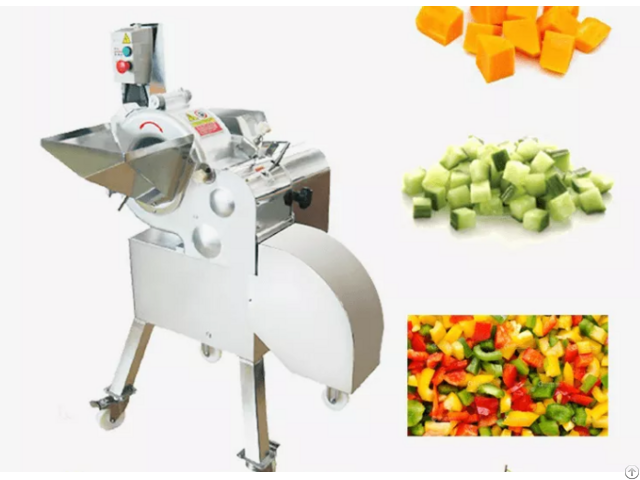 Cd 800 Automatic Vegetable And Fruit Dicing Machine