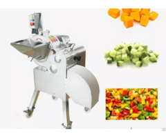 Cd 800 Automatic Vegetable And Fruit Dicing Machine