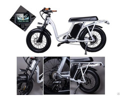 20inch Electric Bike