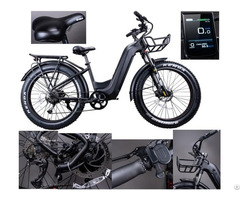 Electric Bicycle Jleb 002