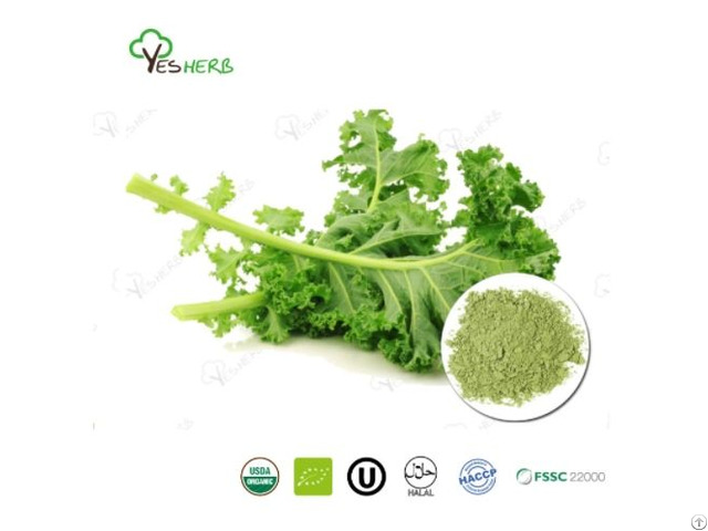 Kale Powder