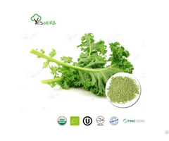 Kale Powder
