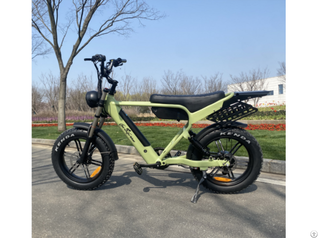 Ebike Model 2313