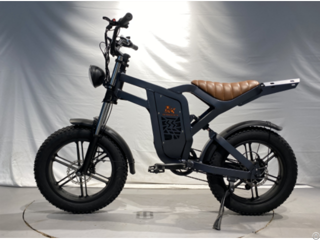 Ebike Model 2312