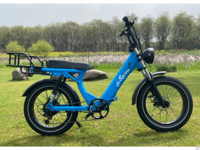 Ebike Model 2205