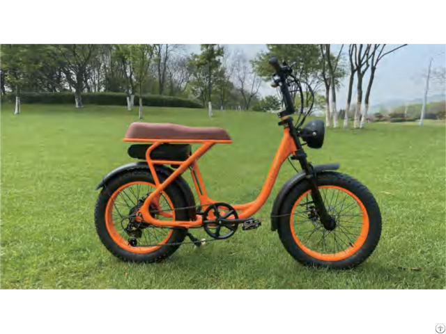 Ebike Model 2207