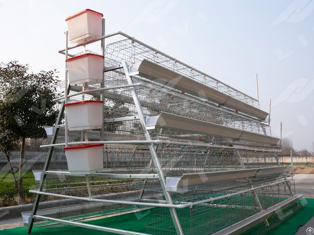 A Type Layer Chicken Cage System