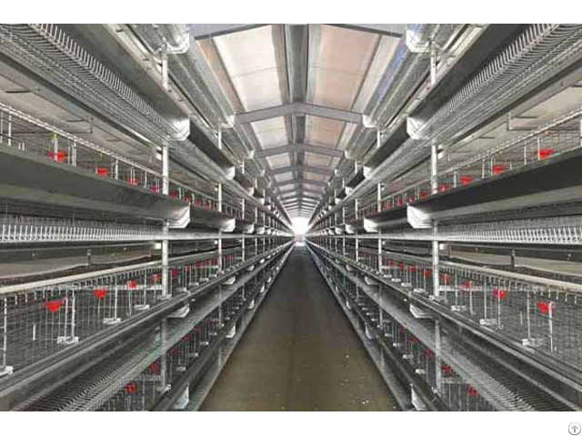 H Type Layer Battery Cage System