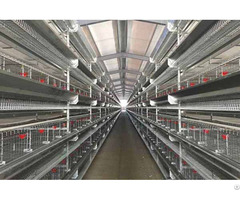 H Type Layer Battery Cage System