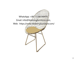 Hollow Metal Wire Black Dining Chair