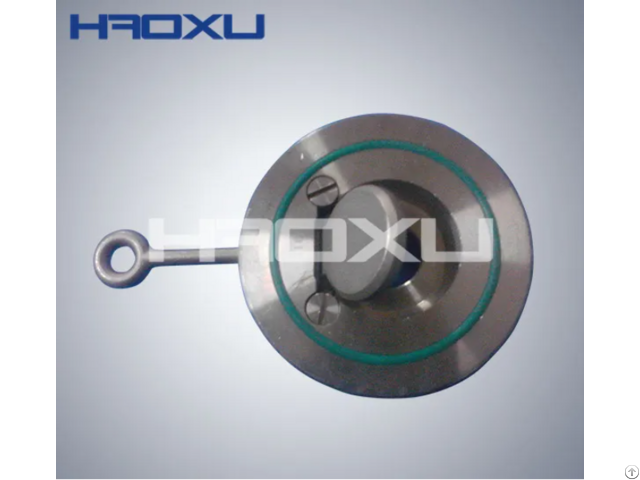 Haoxu Customized Clamp Check Valve