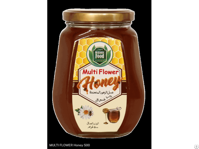 Big Bee Multi Flavour Honey عسل الزهور المتعددة 1kg