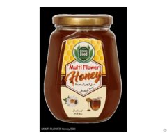 Big Bee Multi Flavour Honey عسل الزهور المتعددة 1kg
