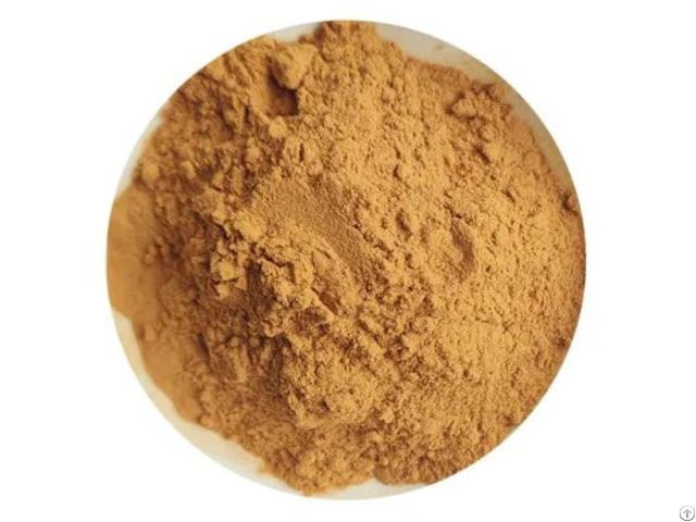 Green Tea Extract