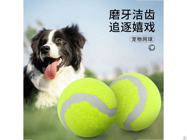 Dog Toys Bouncy Tennis Balls