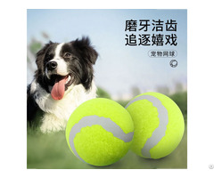 Dog Toys Bouncy Tennis Balls