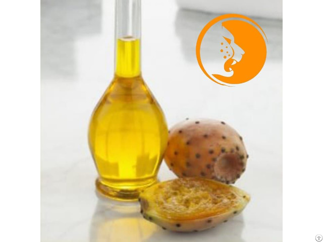 Tunisian Premium Virgin Olive Oil Wholesale