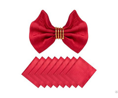 Napkins Set Red