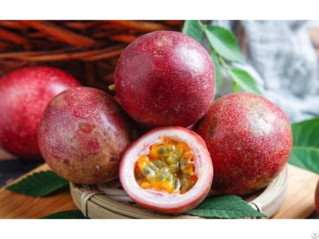 Fresh Passion Fruit Made In Vietnam