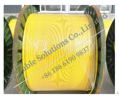 Downhole Wireline Cable