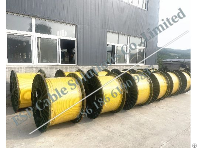 Tubing Encasulated Line