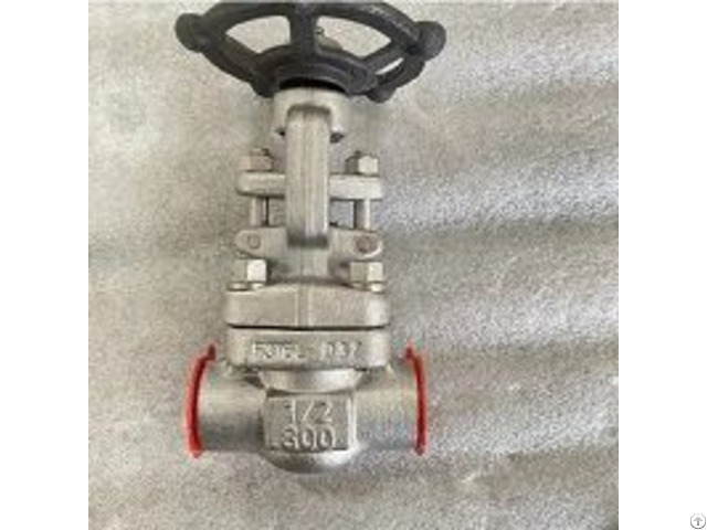 Astm A182 F316l Gate Valve