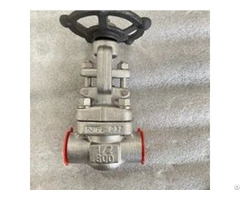 Astm A182 F316l Gate Valve