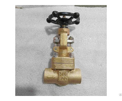 Astm B148 C95800 Globe Valve