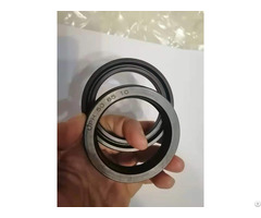 Oil Seals Hydrauic O Rings