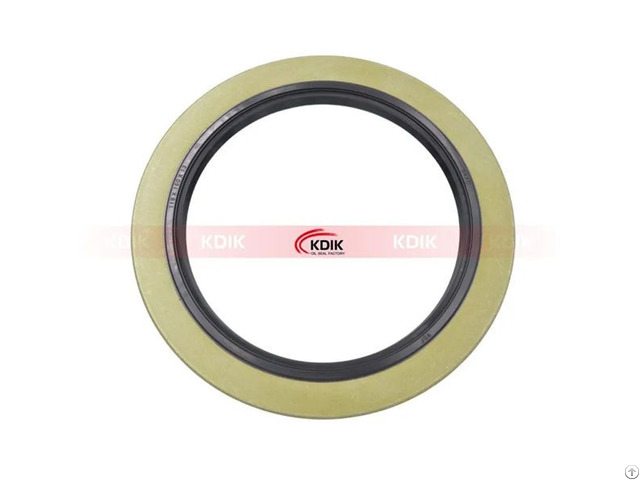 Oil Seal 118 160 13 For Truck Auto Part Shaft