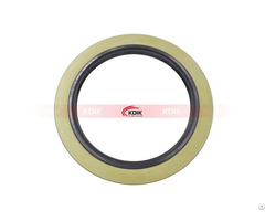 Oil Seal 118 160 13 For Truck Auto Part Shaft