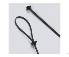 Chassis Cable Ties