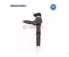 Common Rail Fuel Injector 0445110623