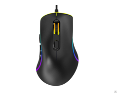 Rgb Backlight Professional Gaming Mouse