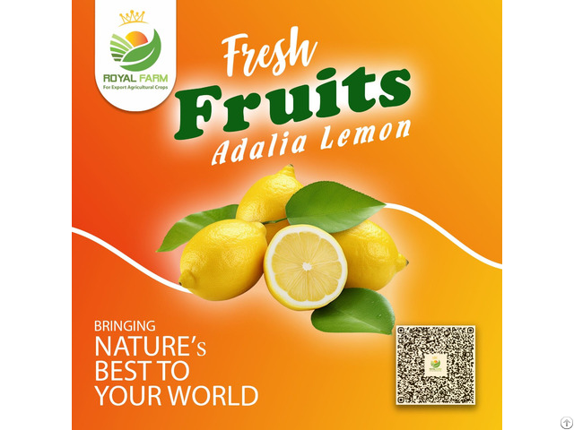 Acidic Lemon