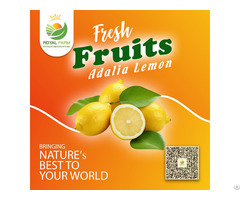 Acidic Lemon