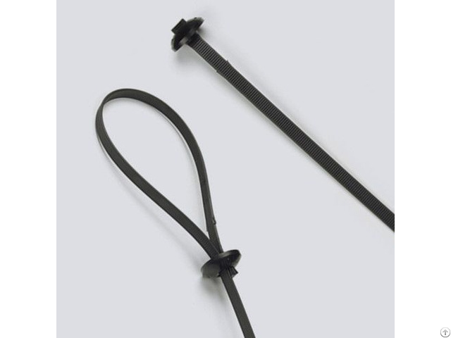 Chassis Cable Ties