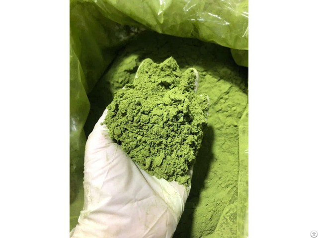 Celery Powder Vietnamese Supplier Whatsapp 84 83 222 9601