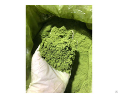 Celery Powder Vietnamese Supplier Whatsapp 84 83 222 9601